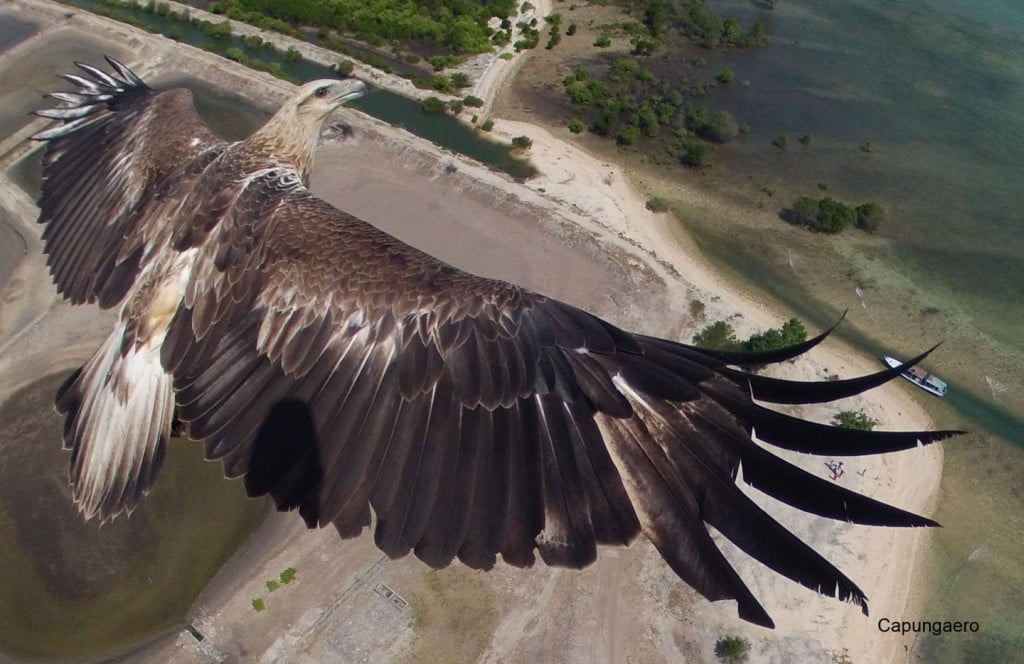 photo taken from a drone