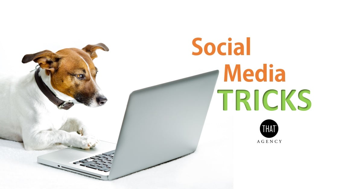 Social Media and Inbound Marketing | THAT Agency Social Media and Inbound Marketing | THAT Agency