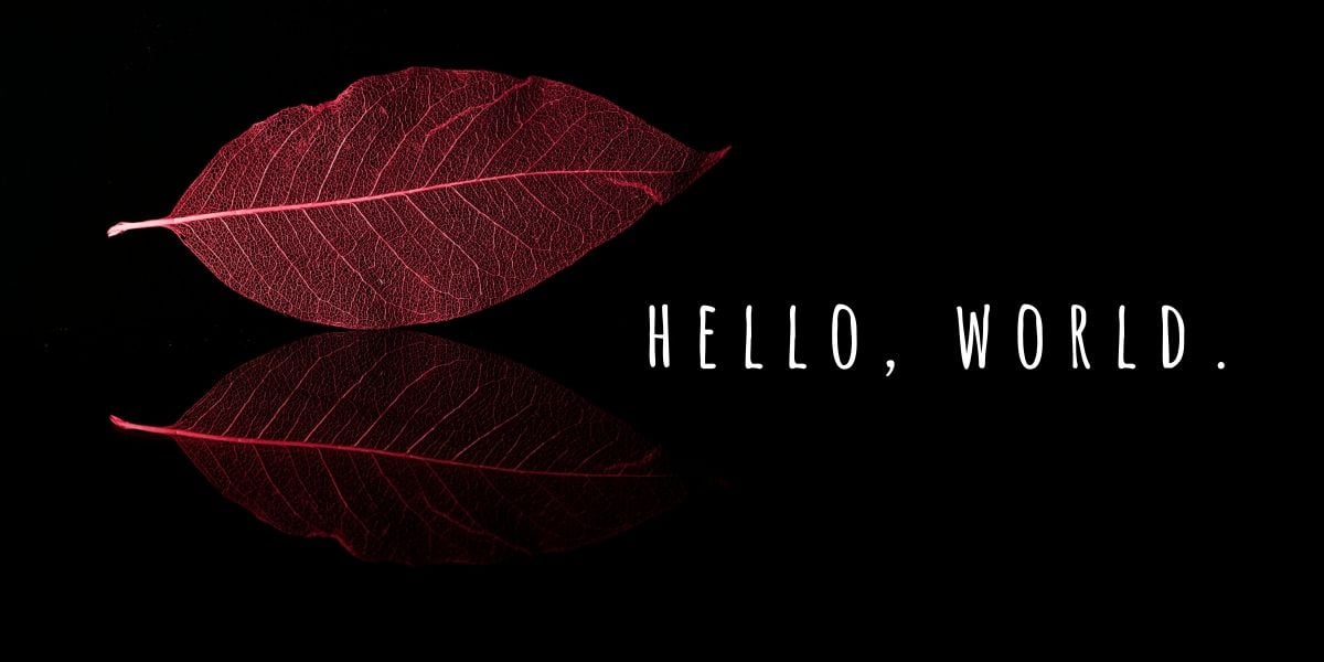 A minimalistic example illustrating on of the top web design trends for 2020 and 2021